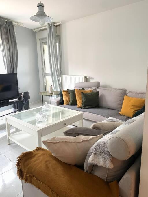 Appartement Moderne Et Spacieux Proche Paris Alfortville Eksteriør billede
