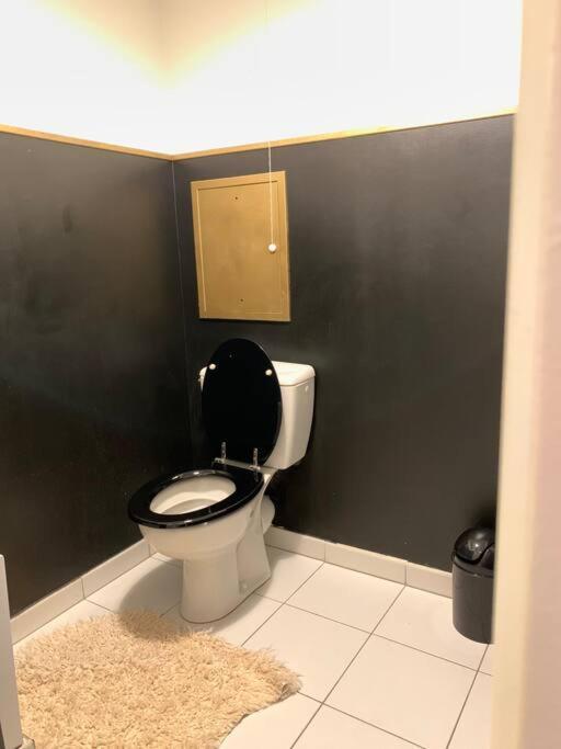 Appartement Moderne Et Spacieux Proche Paris Alfortville Eksteriør billede